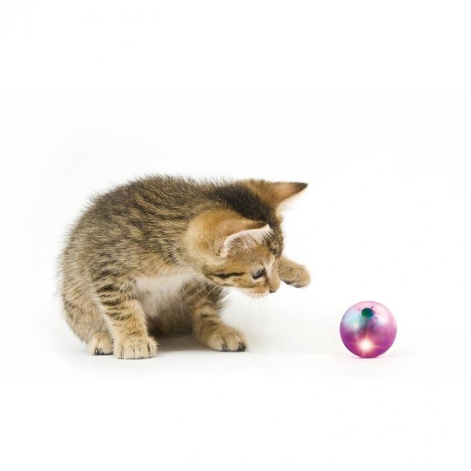 고양이 경기를 위한 반짝이는 빛 상호 작용하는 롤링볼 고양이 티저광고 인형 울리는 소리